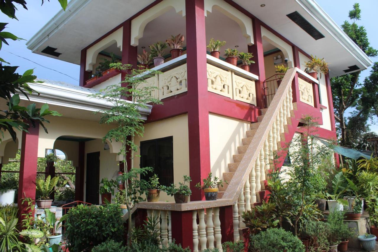 Peace Lily Studio Apartments Panglao Exterior foto